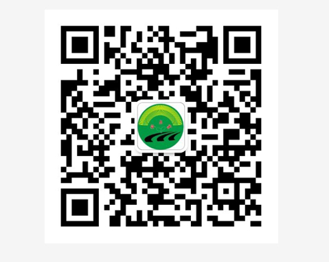 小蜜蜂谷物种植技术农夫合作社