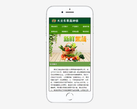 大败青果蔬种植
