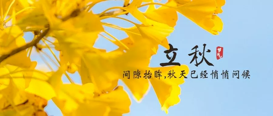 yl23455永利(集团)股份有限公司官网